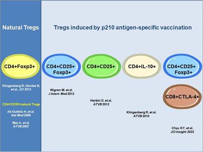 Mini-Review: Immunogenic epitopes in apolipoprotein B-100 for atheroprotective immunization